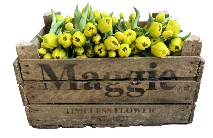 Konstblomma Tulpan Gul 5-pack